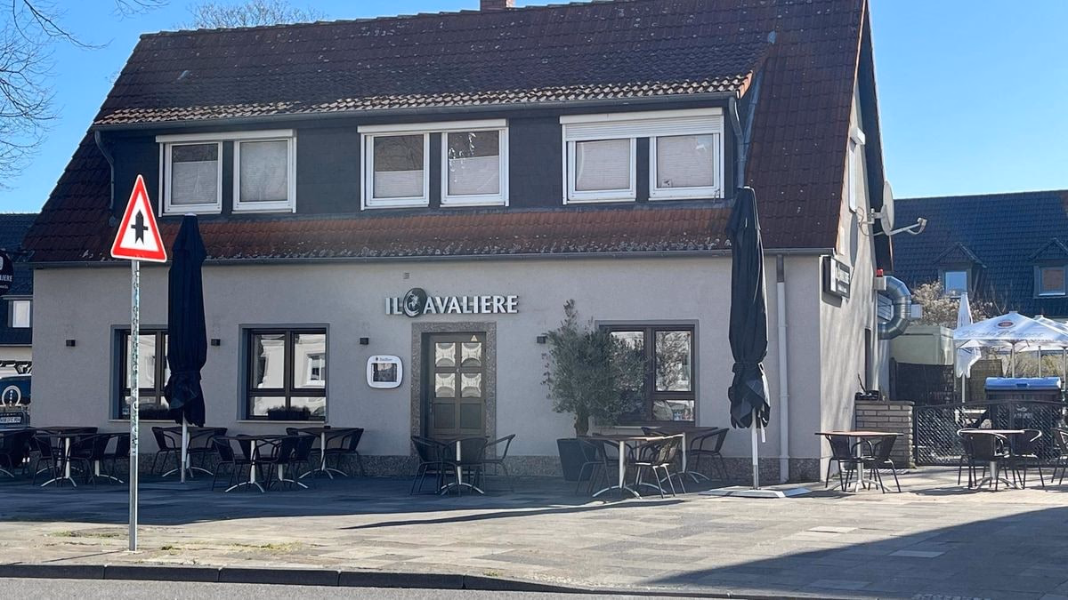 Frontale Bodenansicht im Frühling